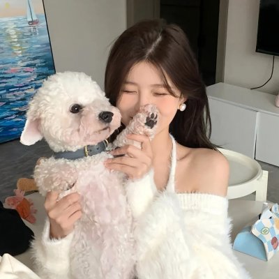 狐狸猎手
