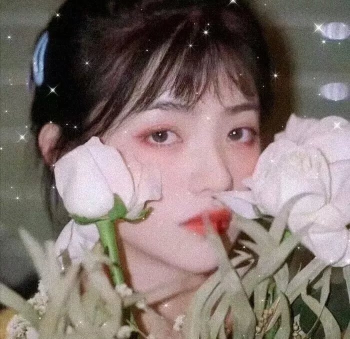 丹顶鹤女孩